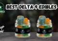 Best Delta 9 Edibles