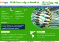 Global PEM Electrolyzer