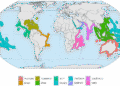 Global Coral Reef