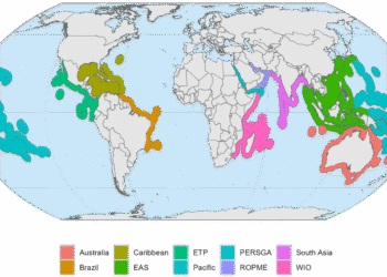 Global Coral Reef