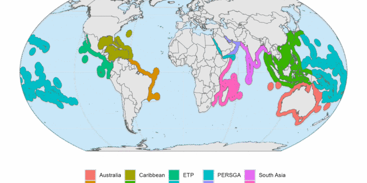 Global Coral Reef