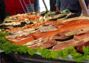 Protein Ingredients Market