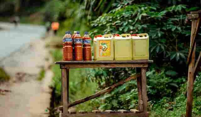 Vegetable Oil Market