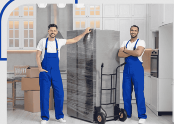 Removalists Mill Park Your Guide to a Smooth Relocation Experience